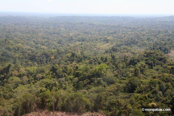 Rio Huaypetue Goldmine und verbundene Abholzung, wie von der Fläche angesehen