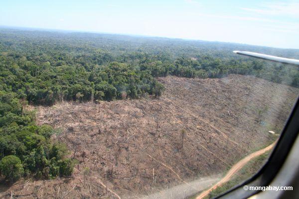 Clear-cutting in the Amazon rainforest as viewed overhead by plane 