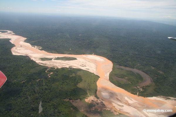 Luftaufnahme von rainforest Fluß