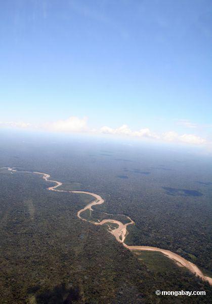 泥だらけの熱帯雨林の川