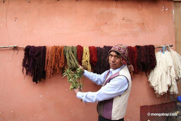 Natürliche Färbungen benutzt für Farbtonalpaka und Schafwollen in den Anden