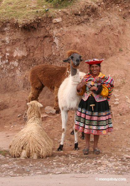 Frau mit Llama, Schaf, Alpaka