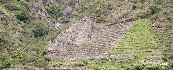 Ruínas e terraces do Inca na maneira a Machu Picchu