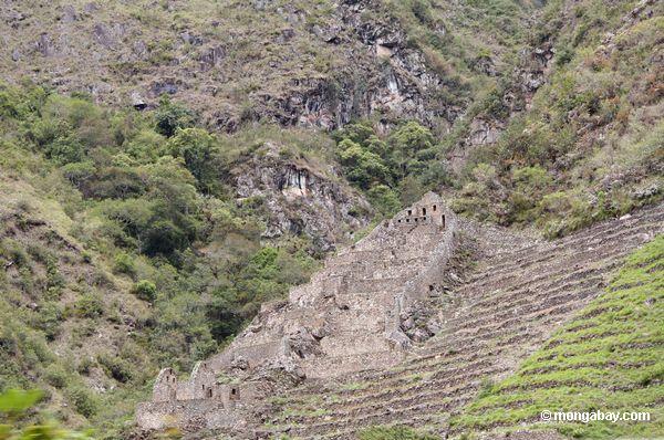 Inkaruinen und -terrassen auf der Weise zu Machu Picchu