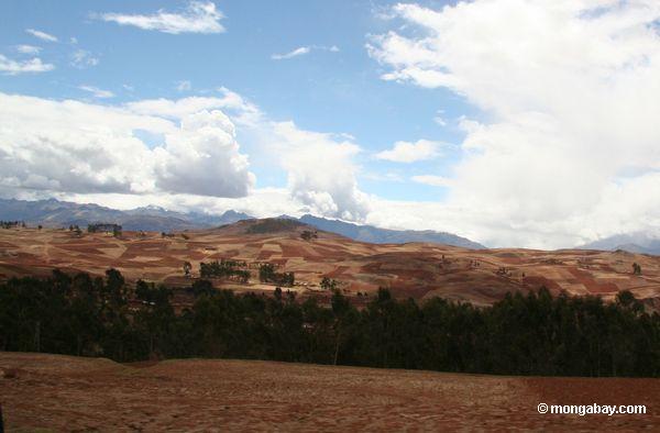 montanhas Neve-tampadas nos Andes