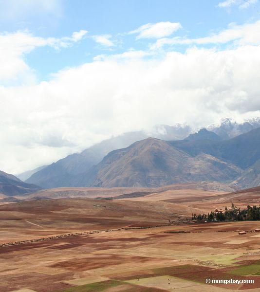 Schnee-mit einer Kappe bedeckte Berge in den Anden mit landwirtschaftlichem fängt im Vordergrund