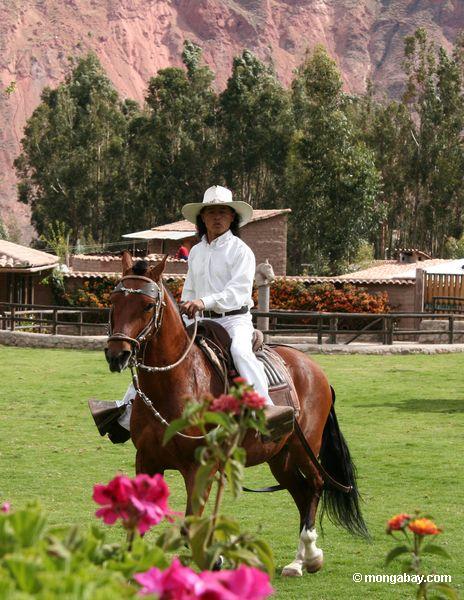 Peruanischer Cowboy