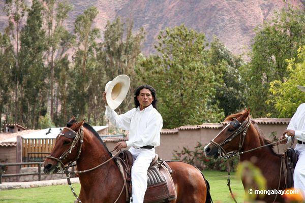 Cowboys auf tanzenden Pferden in den peruanischen Anden
