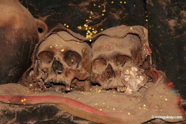 Skulls humanos nos Andes