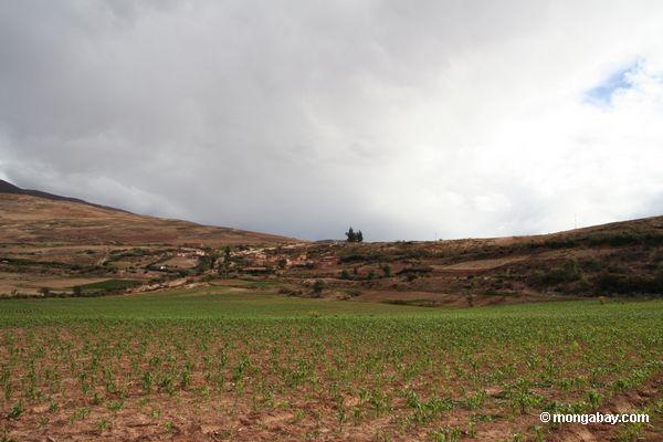 Cuzco Landschaft