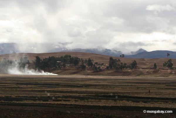 Landwirtschaftliches Feuer in der Anden Landschaft