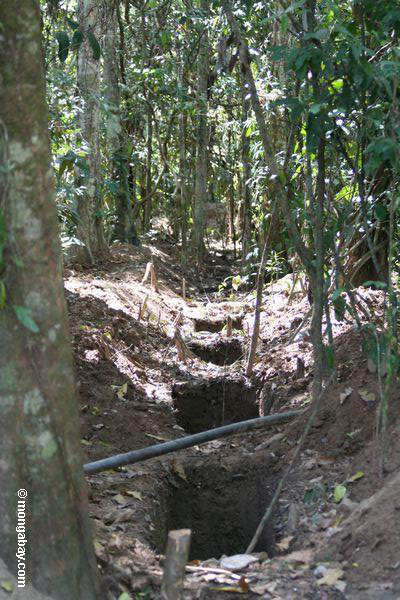Grabende Rohrleitung in rainforest