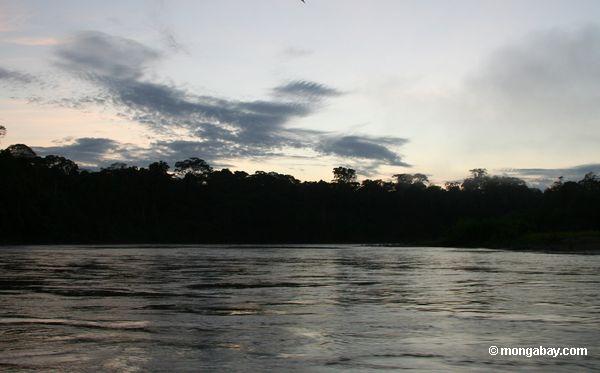 Sonnenaufgangüberschuß rainforest entlang dem Rio Tambopata