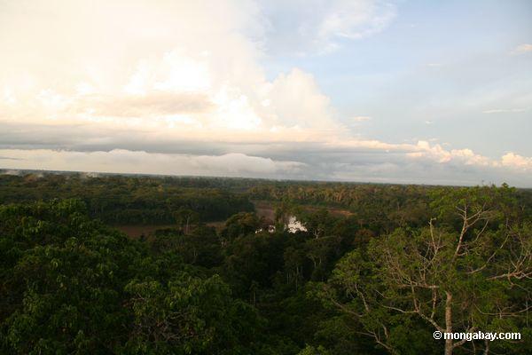 Später Nachmittag im Amazonas Regenwald mit dem Tambopata Fluß im Hintergrund