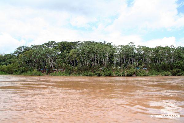 Bergmannlager entlang dem Rio Tambopata