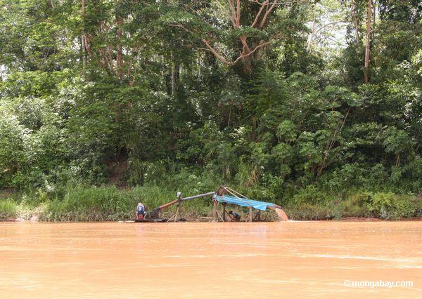 Erwerbsmittelgoldbergmänner entlang dem Tambopata Fluß