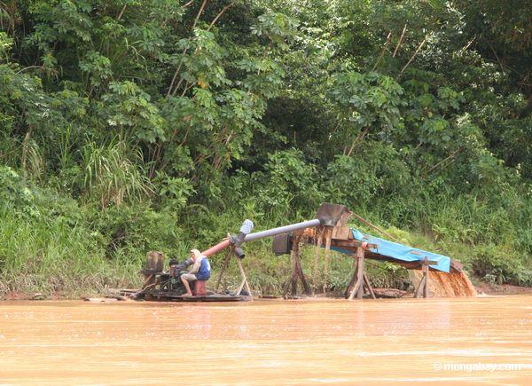 Erwerbsmittelgoldbergmänner entlang dem Rio Tambopata