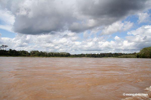 Schlammiges Wasser des Rios Tambopata
