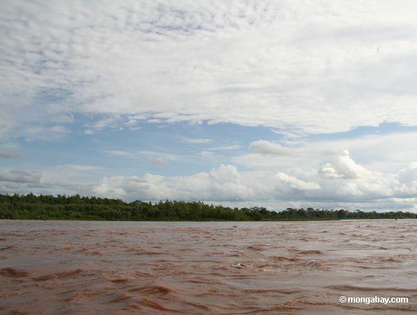 остров растительности вдоль реки Тамбопата