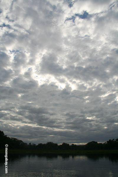 アマゾンの三日月湖の雲