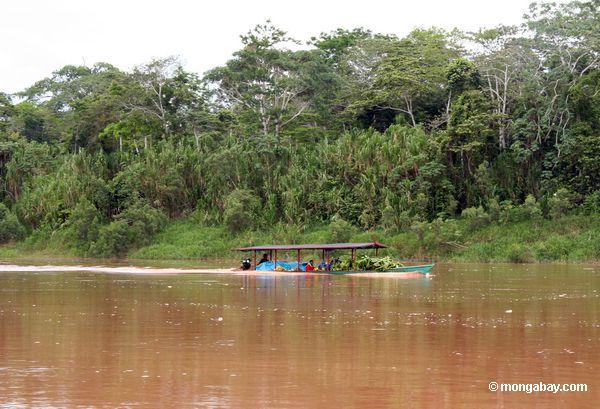 Auf dem Rio Tambopata zu vermarkten Flußboot tragende Waren, 