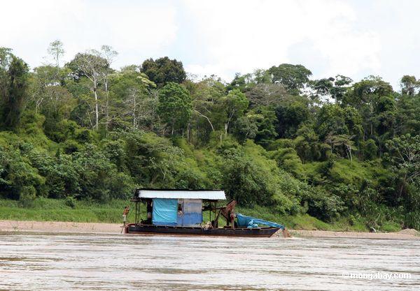 Goldbergmänner entlang dem Rio Tambopata