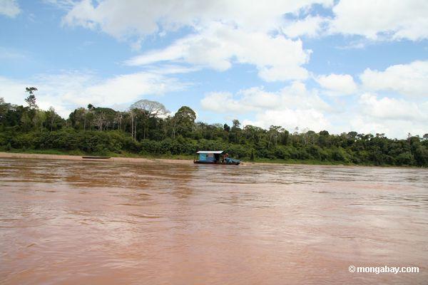Goldbergmänner, die auf Boot im Rio Tambopata funktionieren