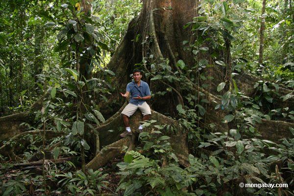 オスカーmishajaのtambopata地域では、熱帯雨林のガイド