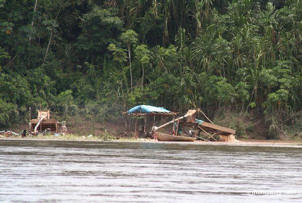 Den Kasten wässern, der von den Goldbergmännern entlang dem Rio Tambopata Peru