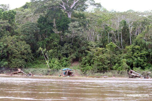 Den Kasten wässern, der von den Goldbergmännern (mineros) benutzt wird entlang dem Rio Tambopata