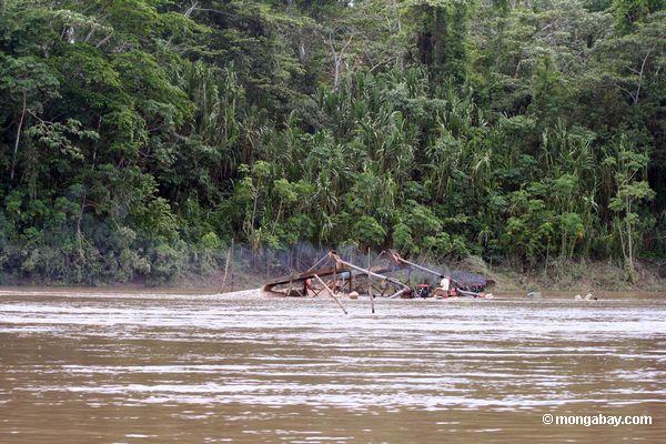 Den Kasten wässern, der von den Goldbergmännern entlang dem Rio Tambopata benutzt wird