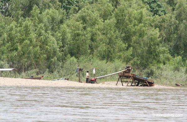 Den Kasten wässern, der benutzt wird, um Gold vom Kies entlang dem Rio Tambopata Peru