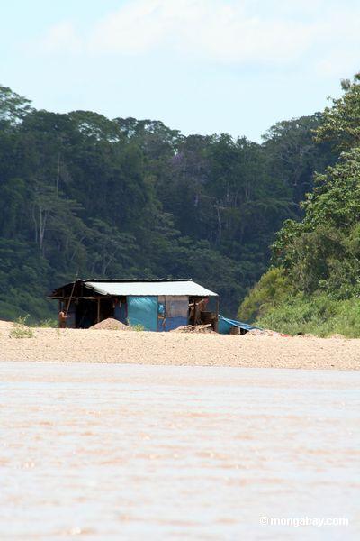 Shack des Goldbergmannes entlang dem Rio Tambopata
