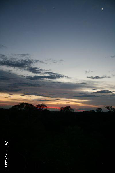 Rainforest überdachung des Sonnenuntergangüberschusses in Peru
