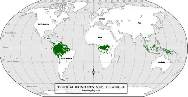 Trópusi esőerdők nevei