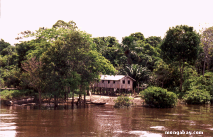 アマゾン川の家、ブラジル1999