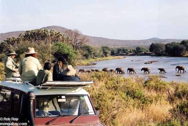 ケニアのサファリ観光客が象を見て川を渡る