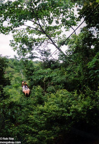 балдахин туры в Коста-Рике