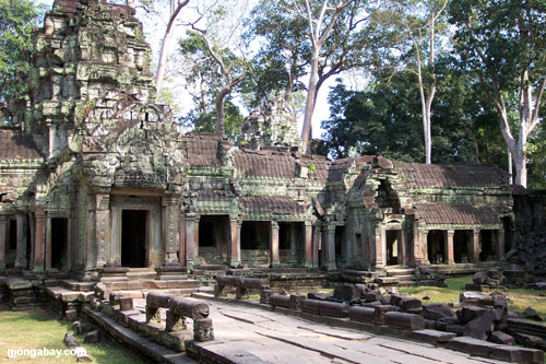 Ta Prohm, Kambodscha 