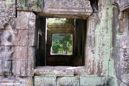TA Prohm, Camboya