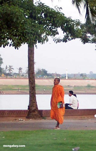 Mönche, Kambodscha 