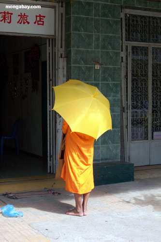 Mönche, Phnom Pehn 