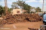 Stacked logs in Uganda