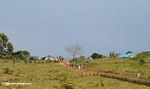 Rural Ugandans leaving church on Sunday
