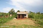 Typical home in rural Uganda