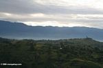 View of the Rwenzori mountains