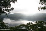 Foggy morning over Lake Nyinambuga