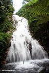 100-foot waterfall in Bwindi