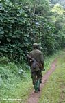 Armed park guard in Bwindi