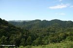 Rain forest hills of Bwindi